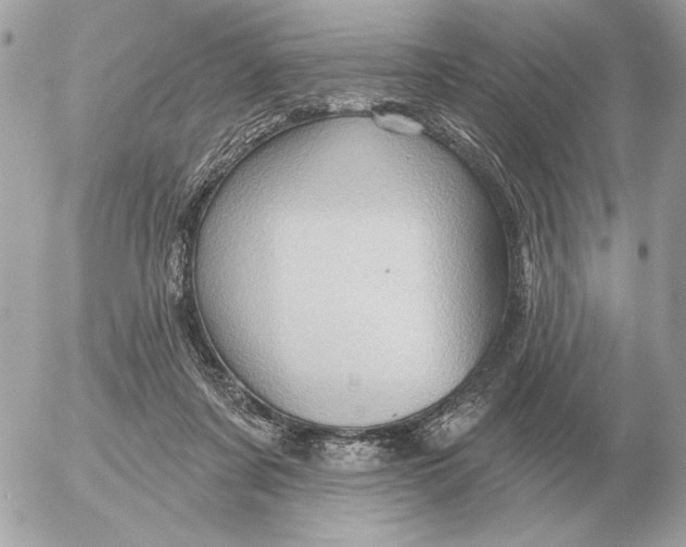 X0000052640311200507221822