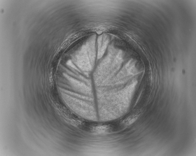 X0000052640312200507221822