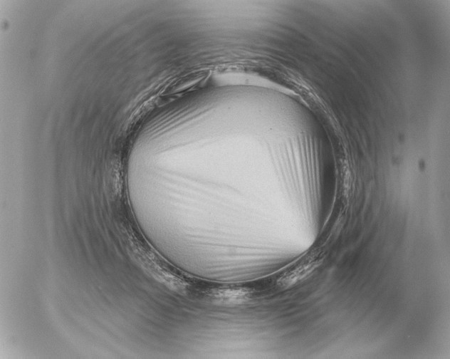 X0000052640313200507221822