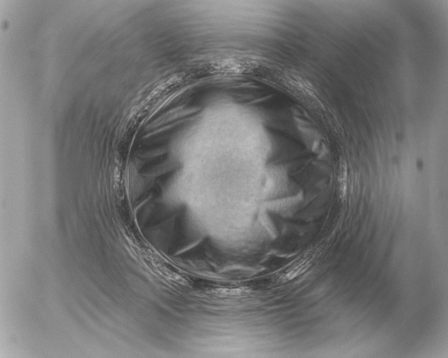 X0000052640314200507221822