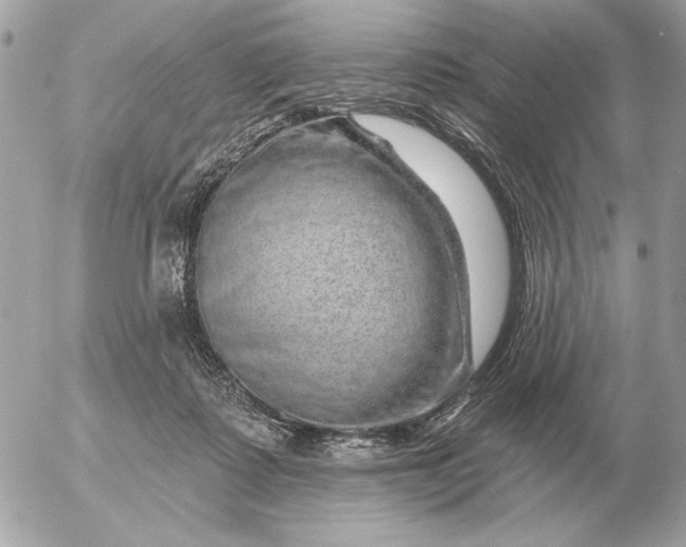 X0000052640315200507221822