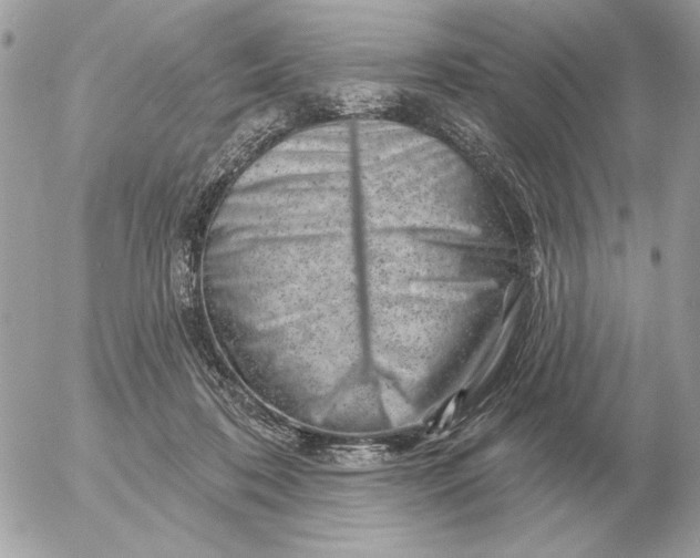 X0000052640316200507221822