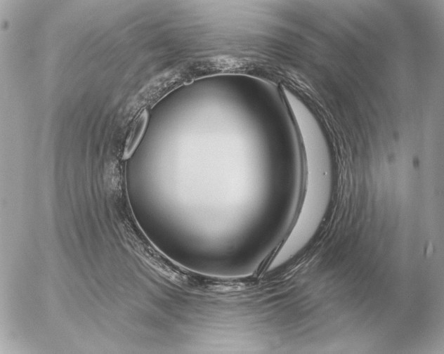 X0000052640317200507221822