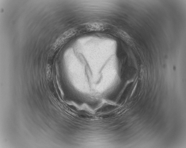 X0000052640318200507221822