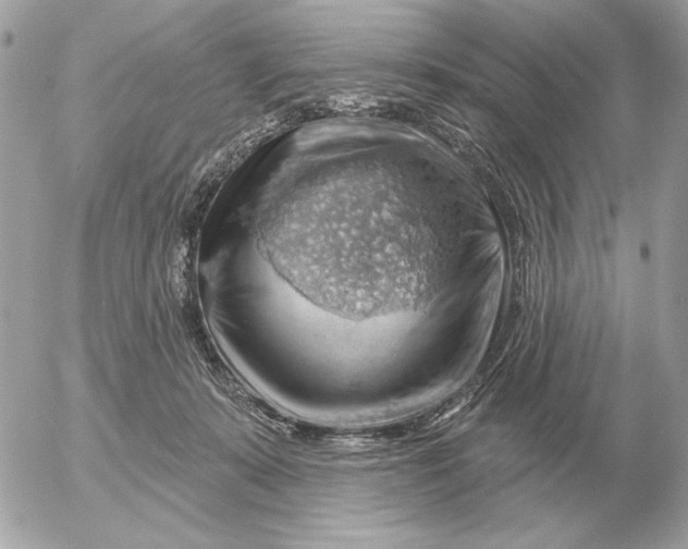 X0000052640319200507221822