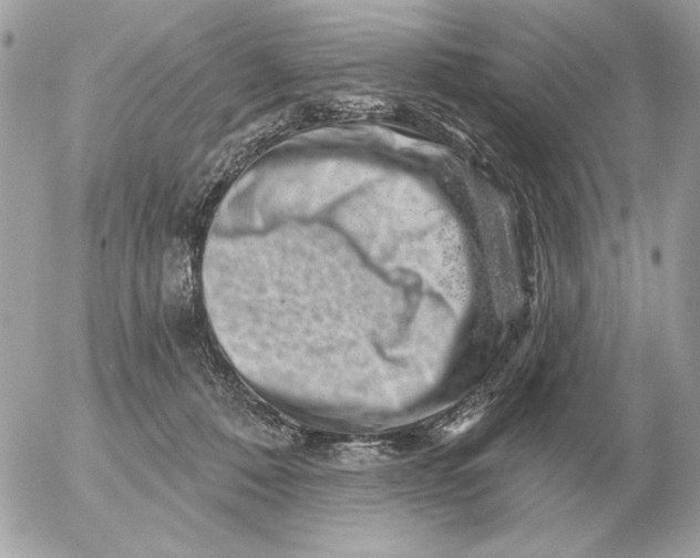 X0000052640320200507221822