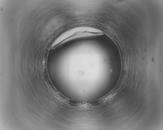 X0000052640321200507221822