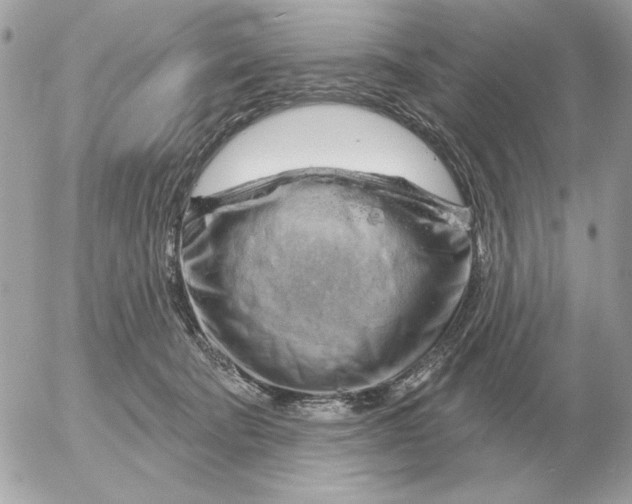 X0000052640322200507221822