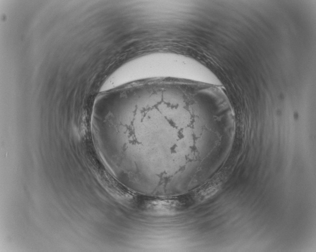 X0000052640323200507221822