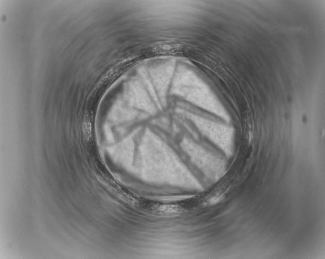 X0000052640324200507221822