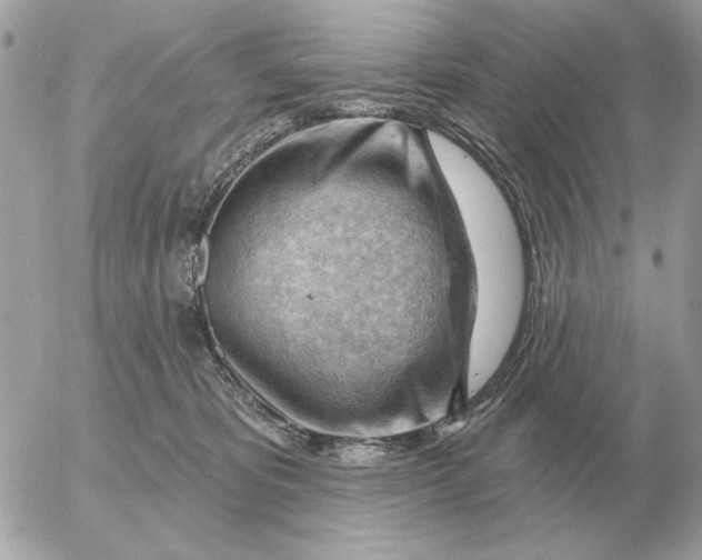 X0000052640325200507221822