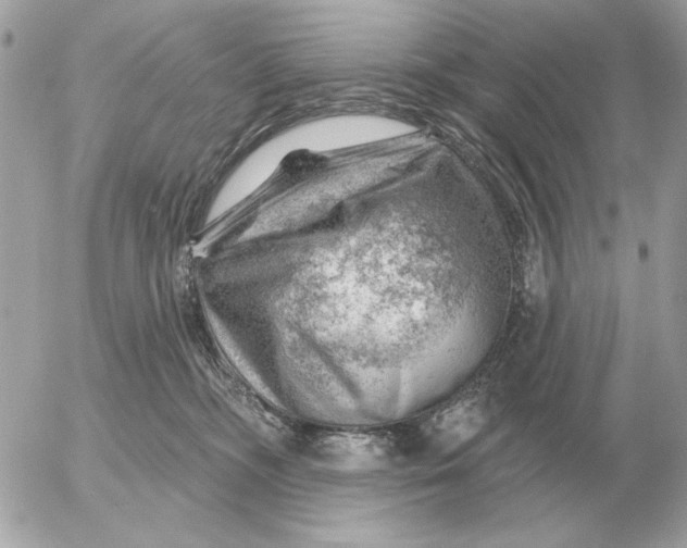 X0000052640326200507221822