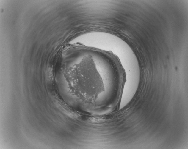 X0000052640327200507221822