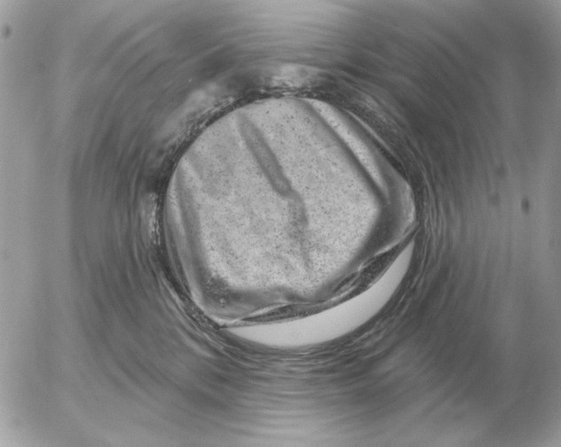 X0000052640328200507221822