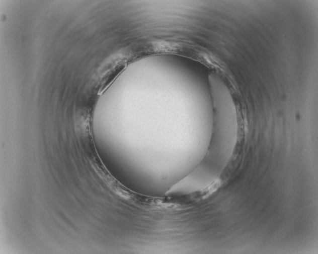 X0000052640329200507221822