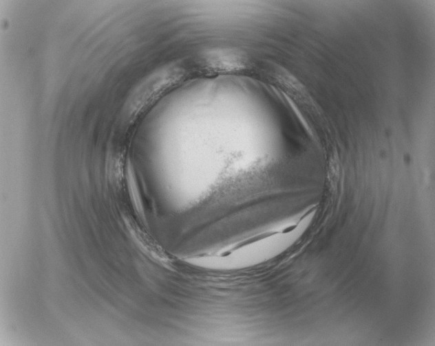 X0000052640330200507221822