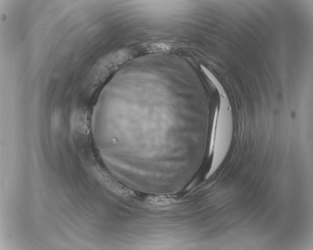 X0000052640331200507221822