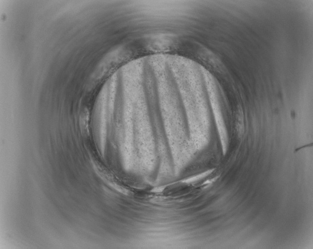 X0000052640332200507221822