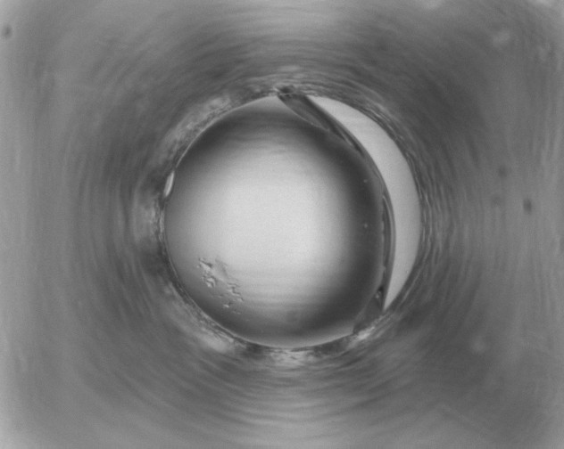 X0000052640333200507221822