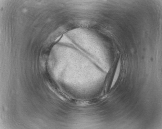 X0000052640334200507221822