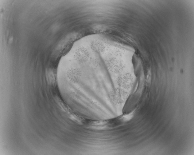 X0000052640335200507221822