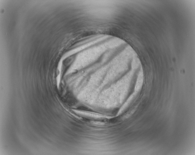 X0000052640336200507221822