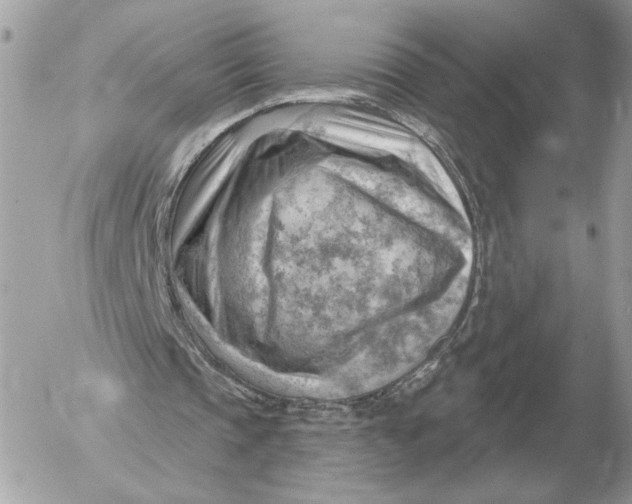 X0000052640337200507221821