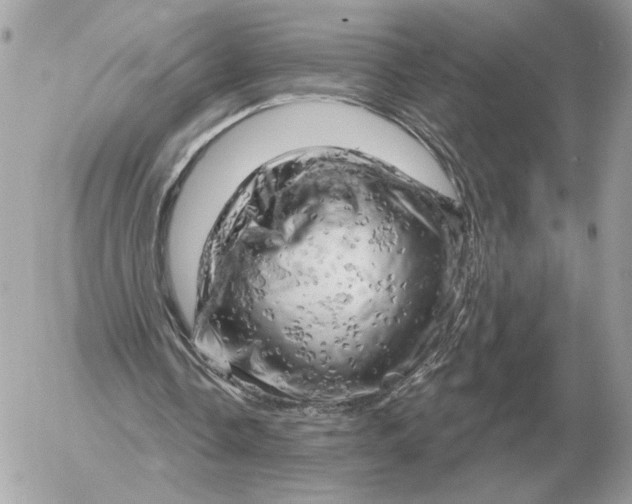 X0000052640338200507221821