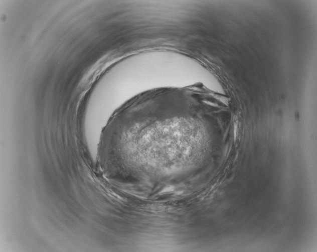 X0000052640339200507221821