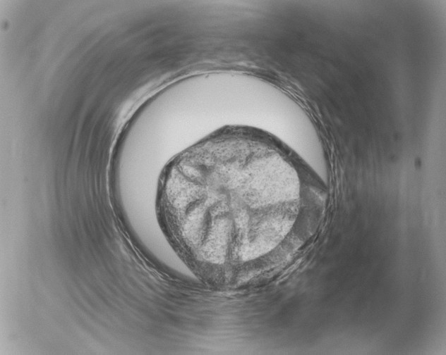 X0000052640340200507221821