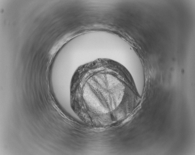 X0000052640341200507221821