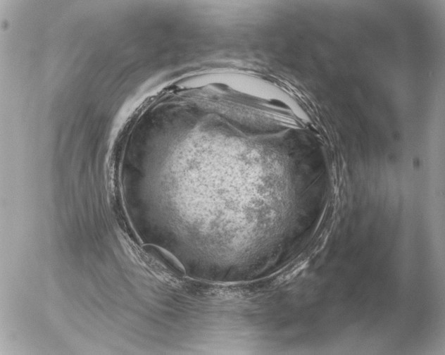 X0000052640343200507221821