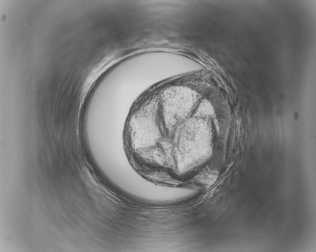 X0000052640344200507221821