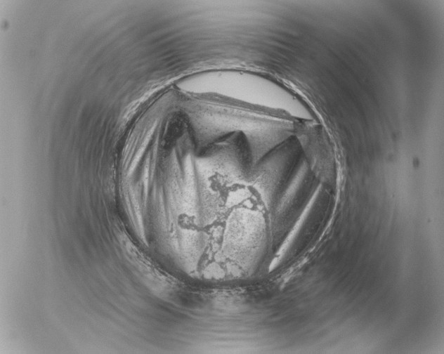 X0000052640345200507221821