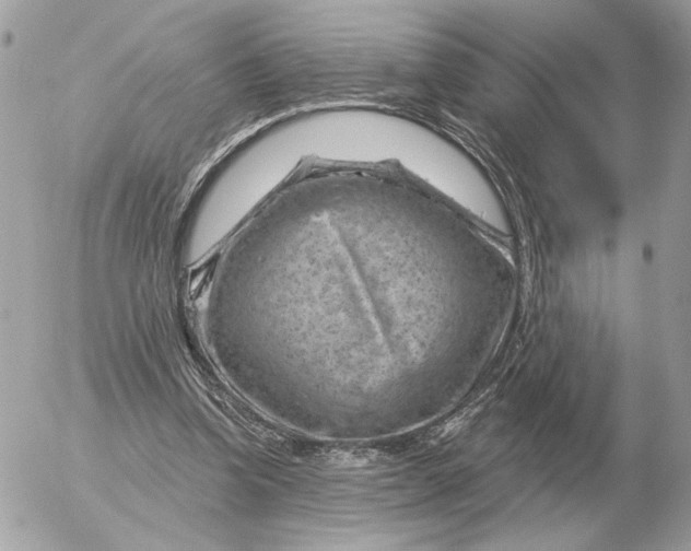 X0000052640346200507221821