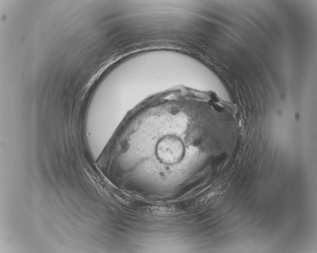 X0000052640347200507221821