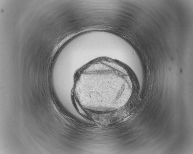 X0000052640348200507221821