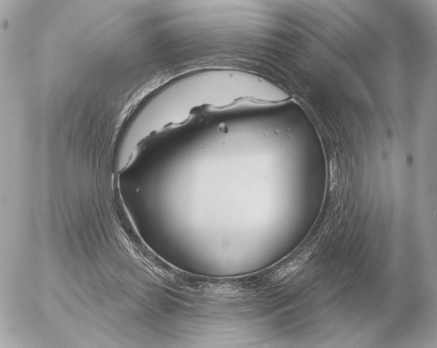 X0000052640349200507221821