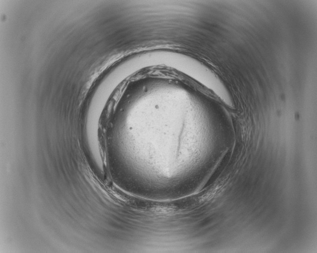 X0000052640350200507221821