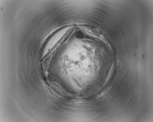 X0000052640351200507221821