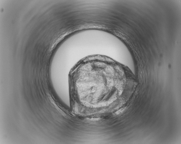 X0000052640352200507221821