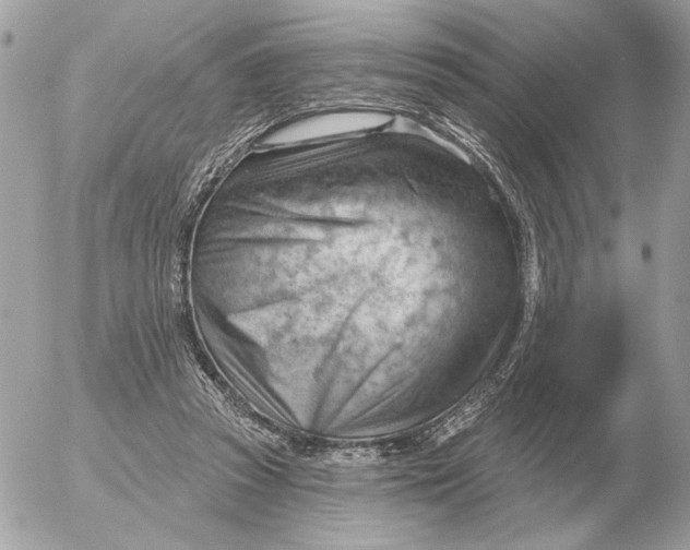 X0000052640353200507221821