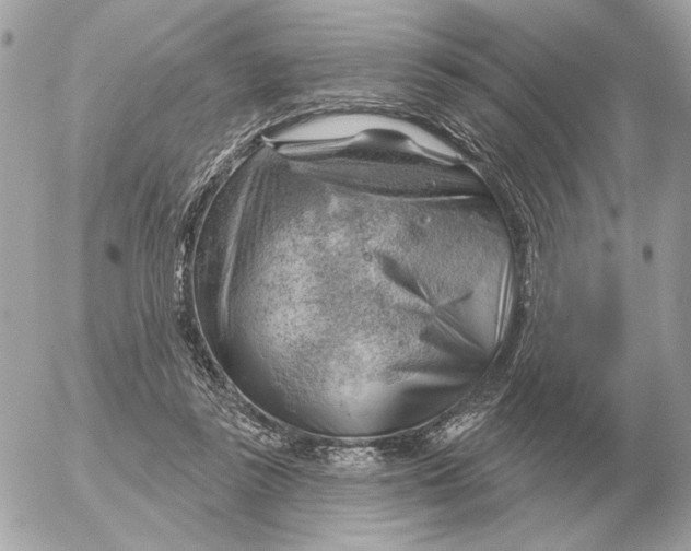 X0000052640355200507221821