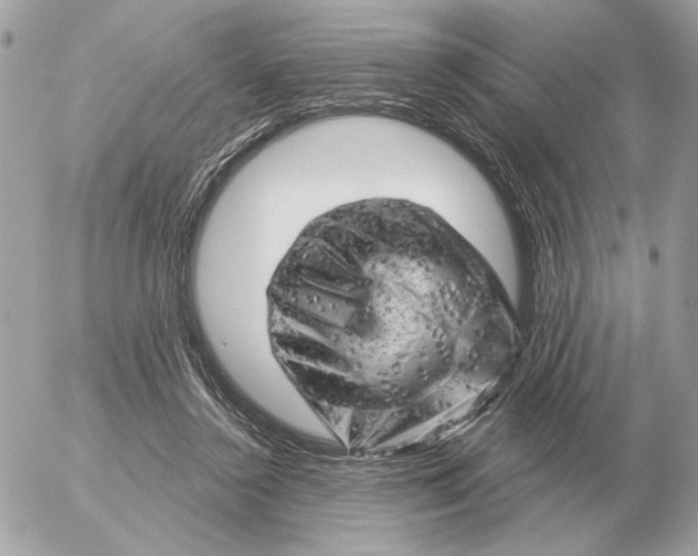 X0000052640356200507221821