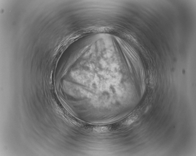 X0000052640357200507221821