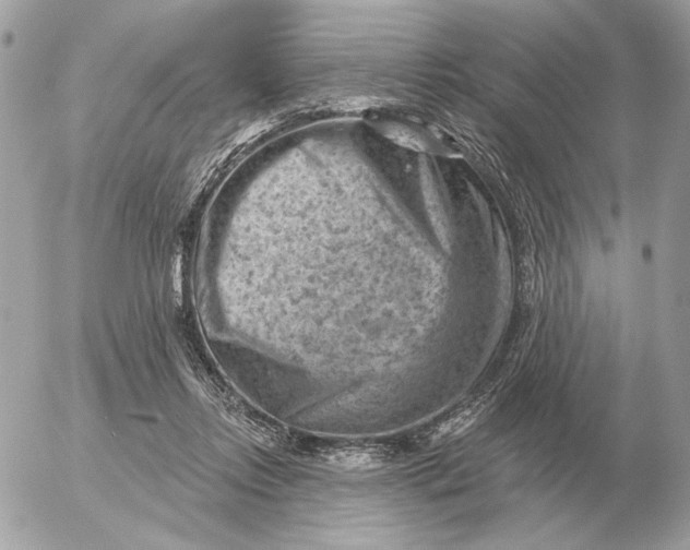 X0000052640358200507221821