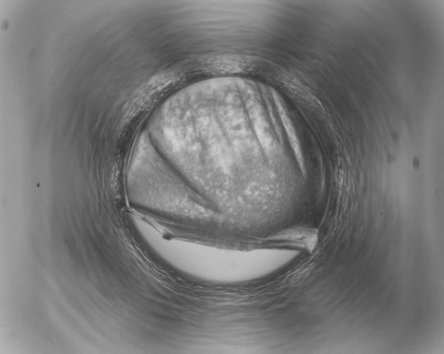 X0000052640359200507221821