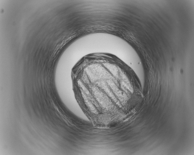 X0000052640360200507221821