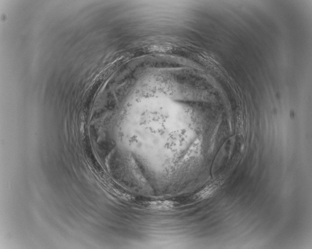 X0000052640363200507221821