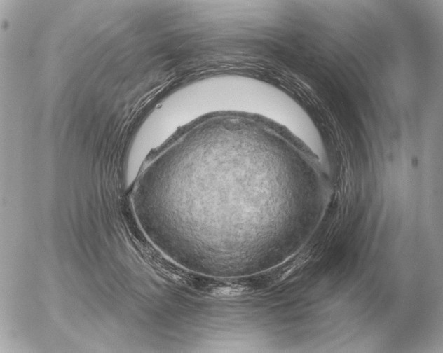 X0000052640364200507221821